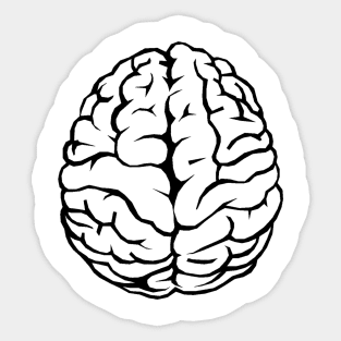 Outline of the human brain Sticker